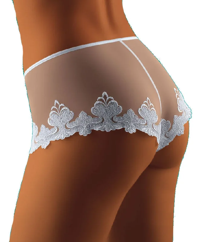 stretch lace panties with a sheer overlay for a seductive appealLadies Gorgeous Sexy Sheer Shorts With Fabulous Embroidered Edges